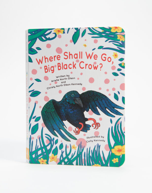 Kid's book written by Arielle North Olson and Christy North Olson Kennedy, illustrations by Caity Kennedy