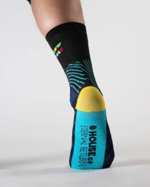 Lost_Sock_House_Black_Blue_Meow_Wolf