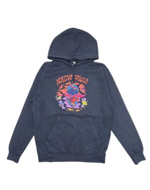 Balloon Fiesta 2025 Hoodie (Limited Edition)