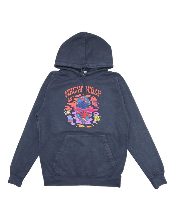 Balloon Fiesta 2025 Hoodie (Limited Edition)