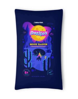 Dozitos Chip Pillow Dozitos Chip Pillow