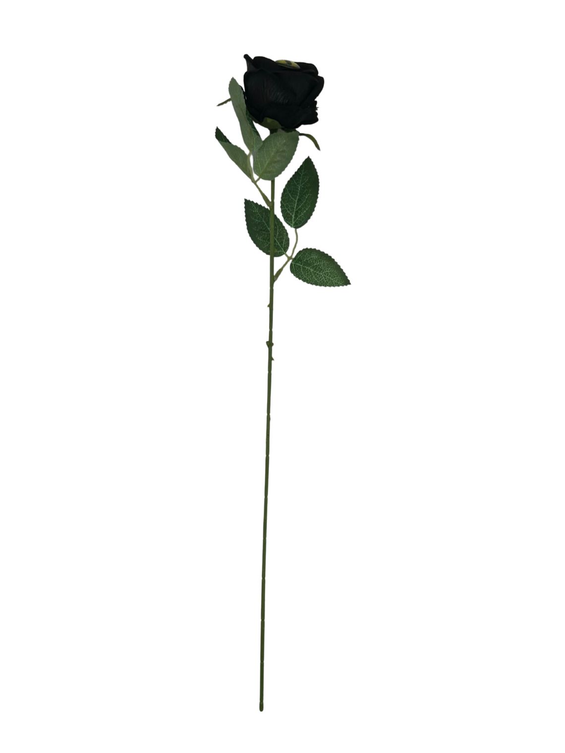 Mutant Flower: Rose Beef Black Label Mutant Flower: Rose Beef Black Label